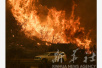 美国加州山火肆虐　洛杉矶学区约1100所学校停课