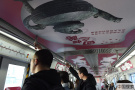 北京地铁1号线新增“国博专列” 