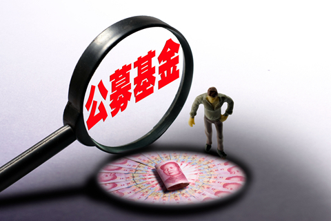中国证券报:公募FOF双重收费是个伪命题-中国