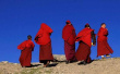 青藏高原何时开始有人类定居？最新研究认为是7400年前