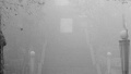 济宁市昨日亮起今年首个大雾红警 周四消散