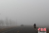 新疆阿拉尔市出现罕见大雾 能见度不足50米