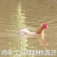 广东一女婿用无人机送红包 丈母娘绑上活鸡回赠