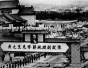 1965年3月5日 (乙巳年二月初三)|国民党元老陈诚病逝