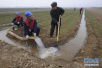 济南最大引黄灌区展开农田春灌　已完成灌溉面积130万亩