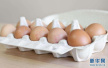 “土鸡蛋”真的比普通鸡蛋更有营养吗？