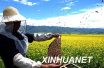 养蜂19年走遍大半个中国　视频直播让市民放心