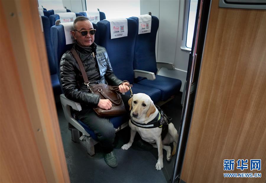 （社会）（3）导盲犬坐高铁：让视障旅客出行无障碍