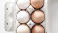 [生活]水洗过的鸡蛋不能吃 这些食物也要当心
