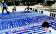 惠州警方摧毁“微信卖茶女”电信诈骗团伙，刑拘239人