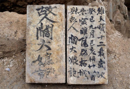 河南商丘宋国故城考古遗址发现唐代墓志砖 实证“城摞城”